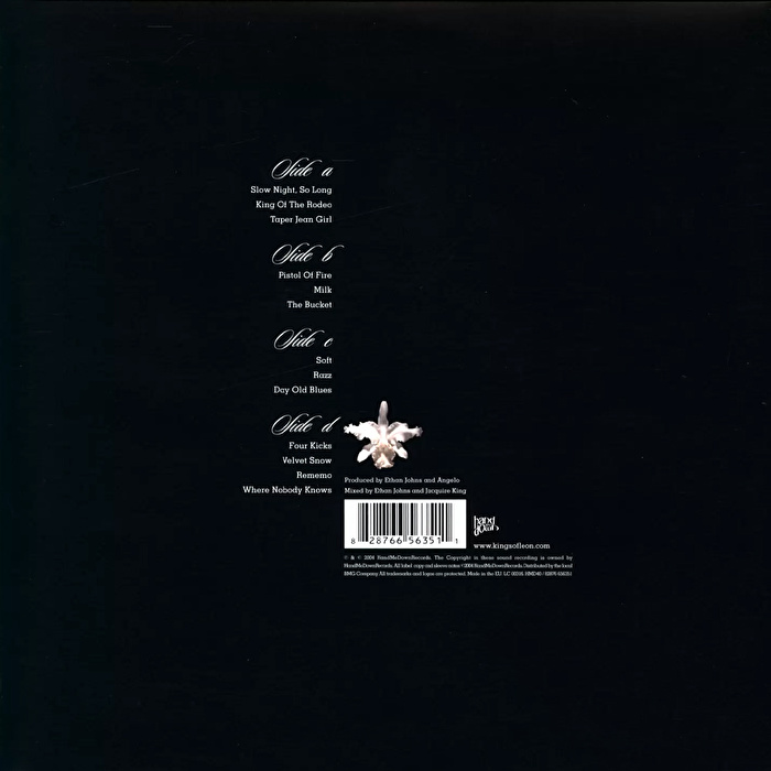 Kings Of Leon - Aha Shake Heartbreak