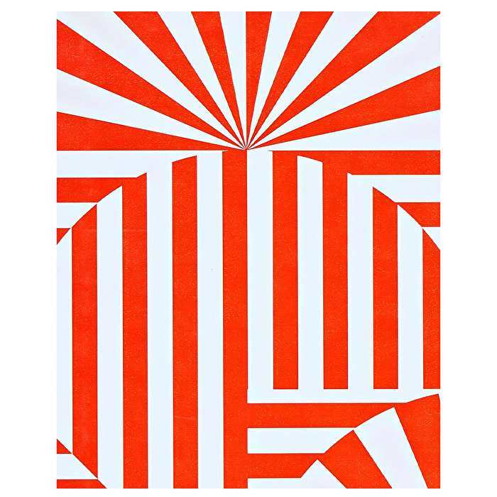 NUUNA Graphic S - Fancy Fans Defter