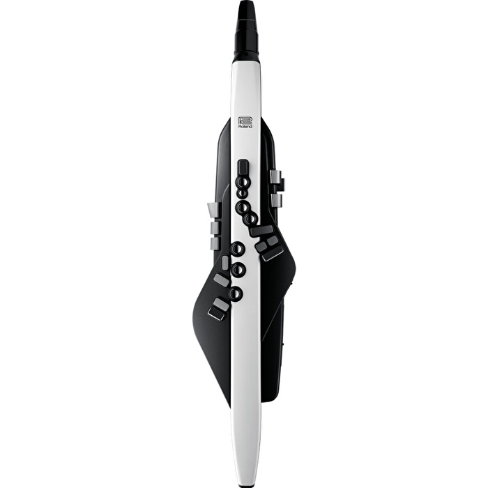 ROLAND AE-20 Aerophone Dijital Nefesli Enstrüman
