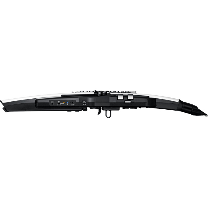 ROLAND AE-20 Aerophone Dijital Nefesli Enstrüman