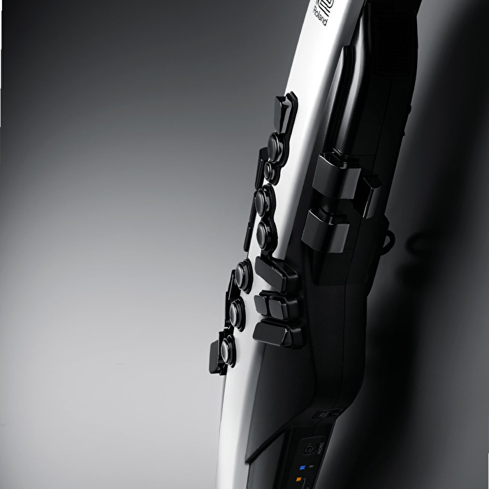 ROLAND AE-20 Aerophone Dijital Nefesli Enstrüman