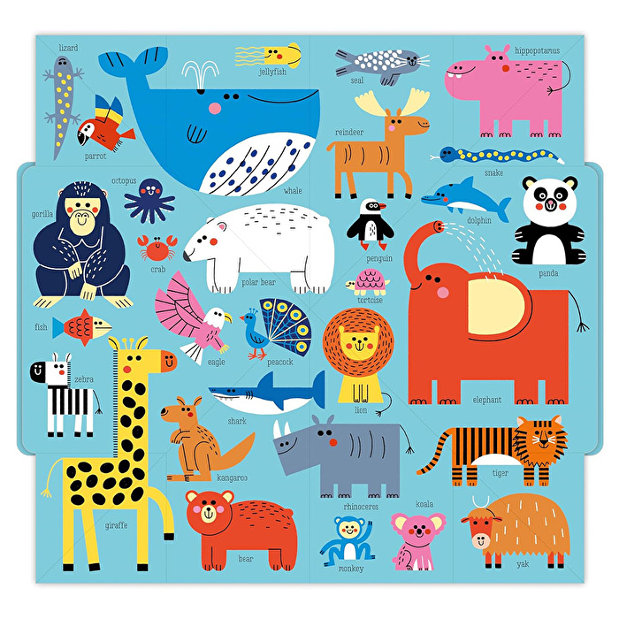 MBI - Pop Out Mega Pictures