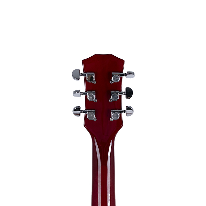 HAZE E-239 CS Elektro Gitar