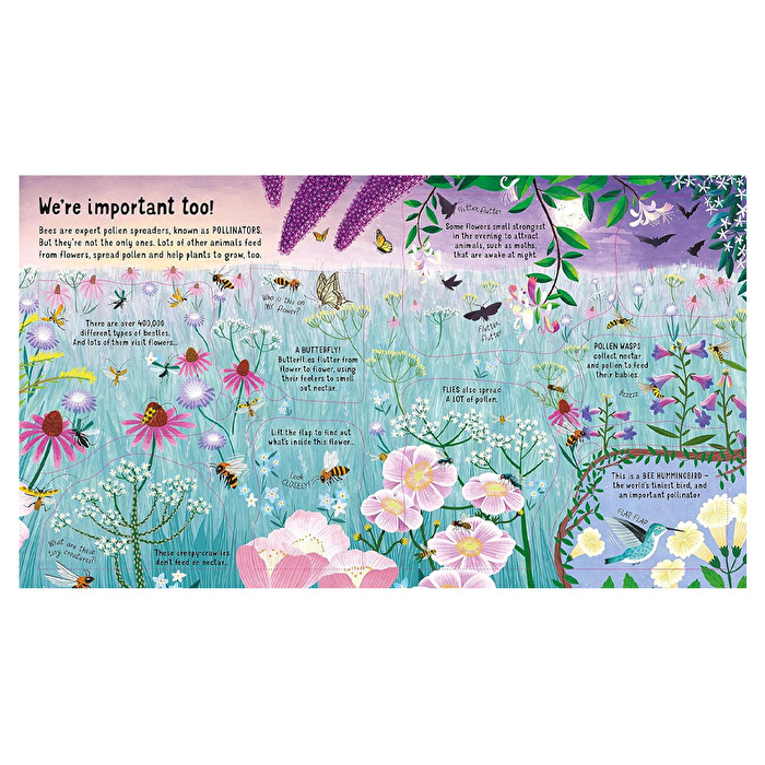 Look Inside The World of Bees