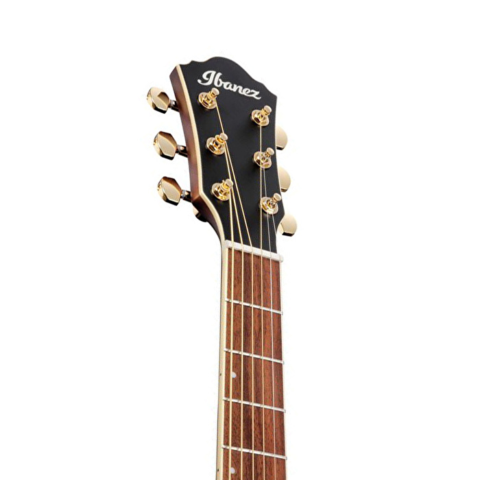Ibanez AEWC12-RGF Elektro Akustik Gitar
