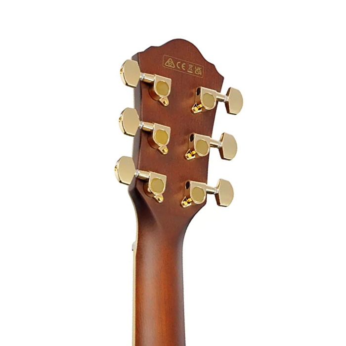 Ibanez AEWC12-RGF Elektro Akustik Gitar