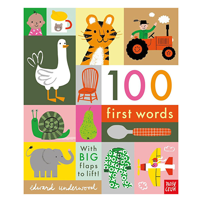 NC - 100 First Words