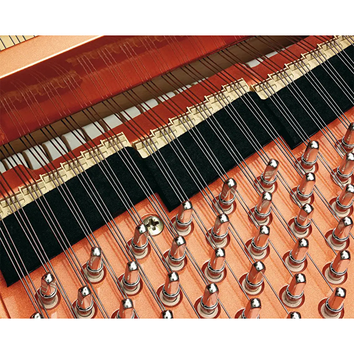 SCHIMMEL K 280 Tradition Parlak Siyah 280 CM Kuyruklu Piyano