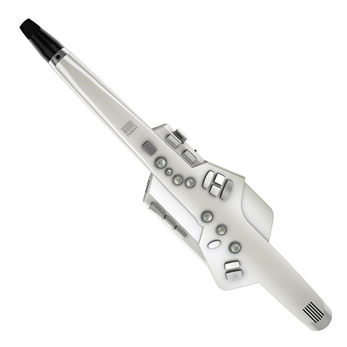 ROLAND AE-10 Aerophone Dijital Saksafon