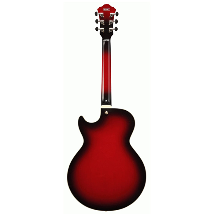 IBANEZ AG75G-SCG Elektro Gitar