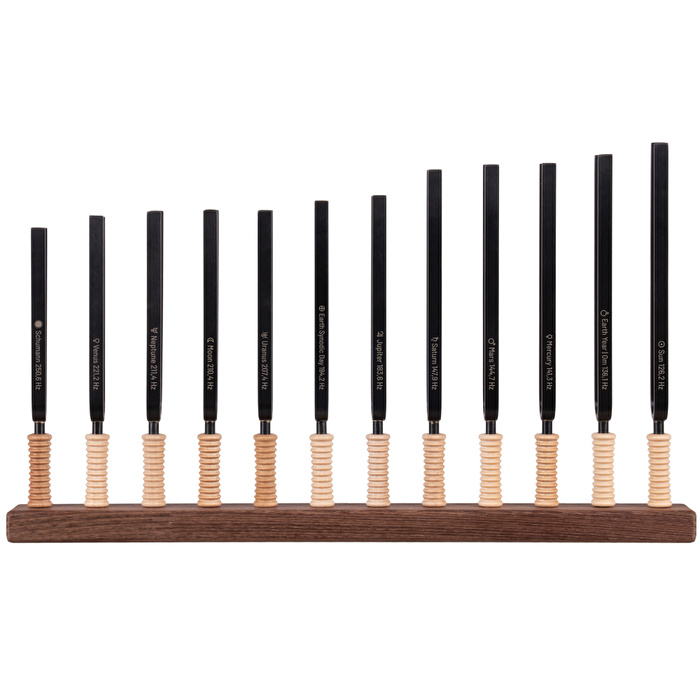 SCHLAGWERK STF-PL12 Planetary Set Universel Akort Çatalı Seti