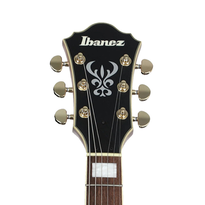 IBANEZ AS73G-RGF Elektro Gitar