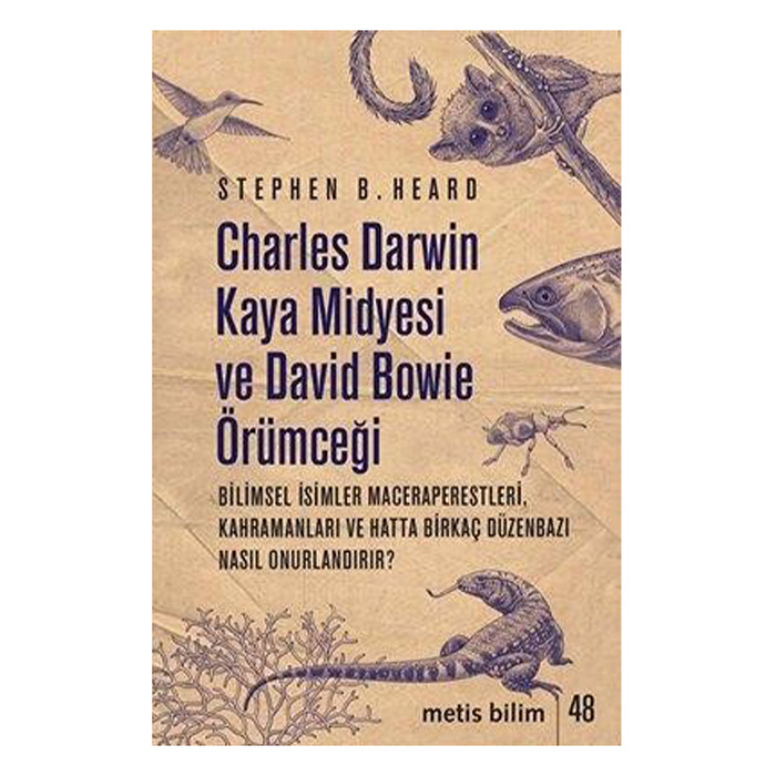 Charles Darwin Kaya Midyesi ve David Bowie Örümceği
