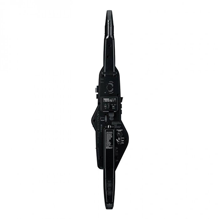 Roland AE-30 Aerophone Pro Dijital Nefesli Enstrüman