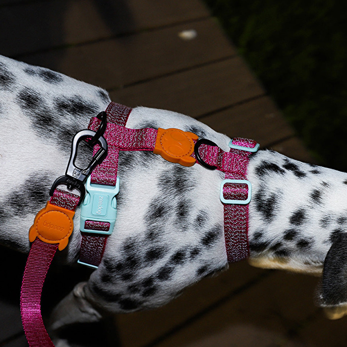 ZEE.DOG Nox Sidus Göğüs Tasması - S Beden