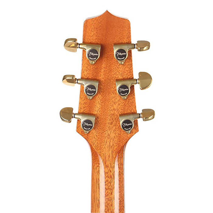 Takamine LTD2022 Elektro Akustik Gitar