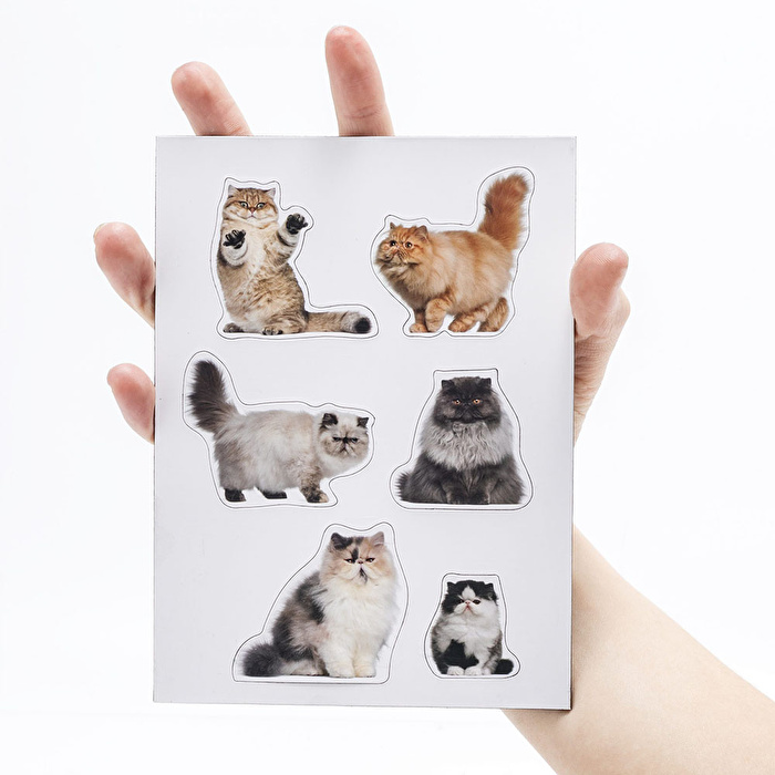 MUSTARD Kedi Magnet