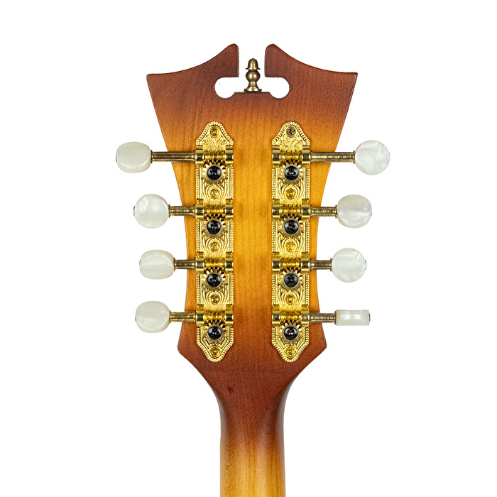 D’ANGELICO DAMFSSATWE Elektro Mandolin