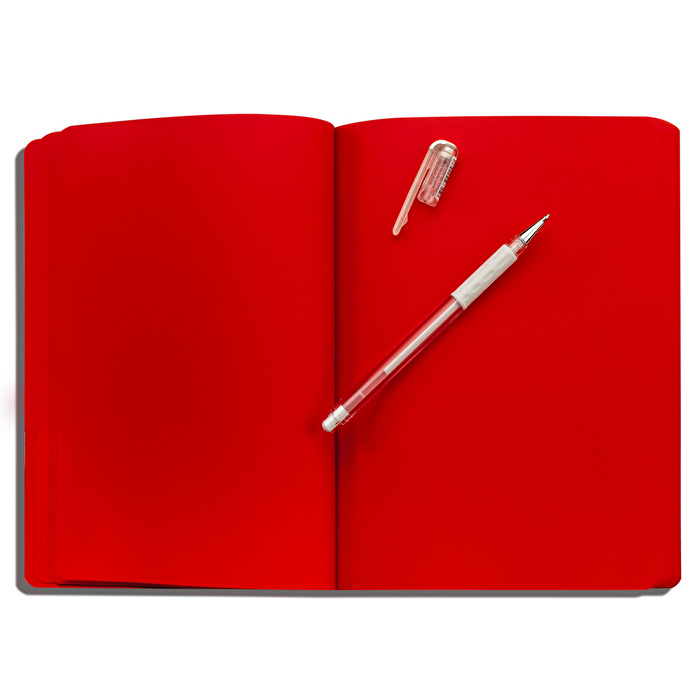 NUUNA Not White L Light - Red Defter