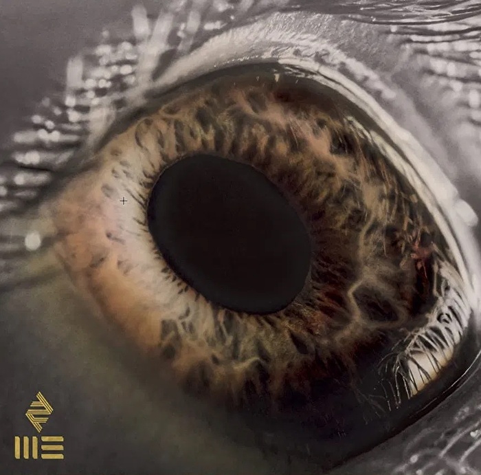 Arcade Fire – We (Renkli Plak)