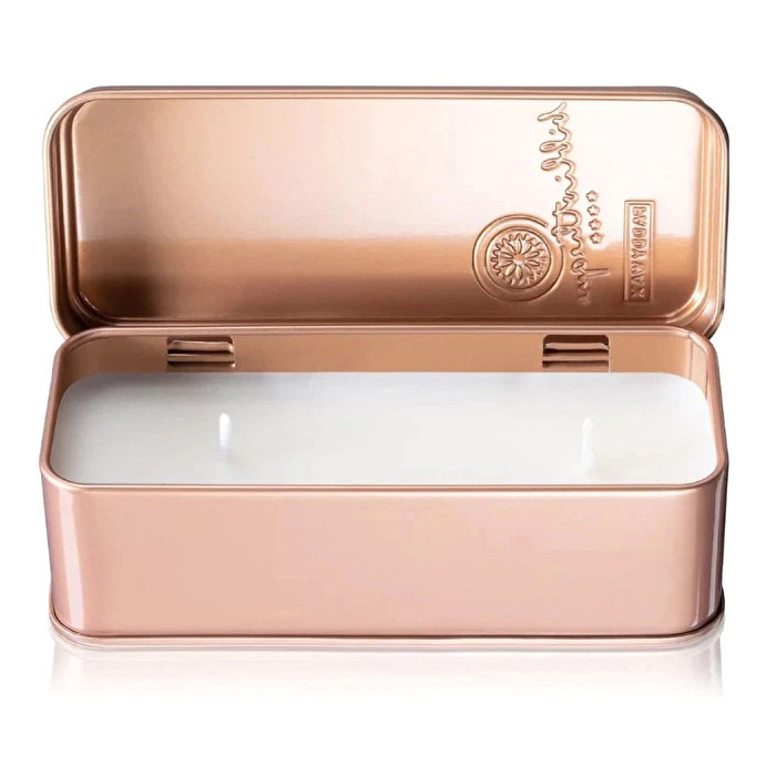 PADDYWAX Library Two Wick Travel Mark Twain Mum / Tin 2 Oz./56G