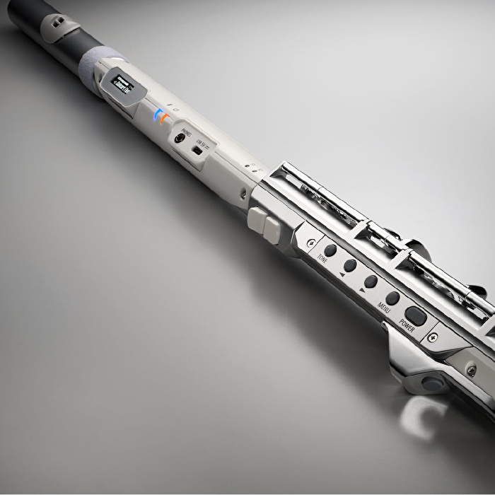 ROLAND AE-BRISA Aerophone Dijital Nefesli Enstrüman