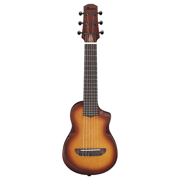 Ibanez AUP10N-OLB Klasik Gitar