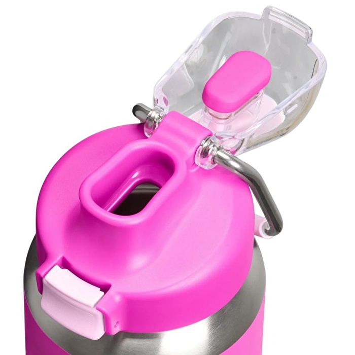 STANLEY The STANLEY Wellspring Bote 0.7L / 24oz Violet Blossom