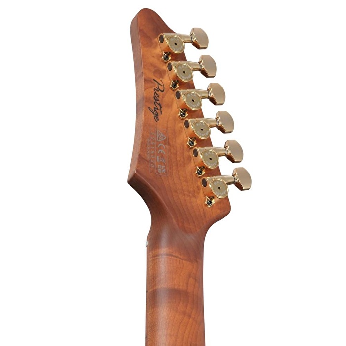 Ibanez AZ2204AG-TGB AZ Prestige Serisi Elektro Gitar