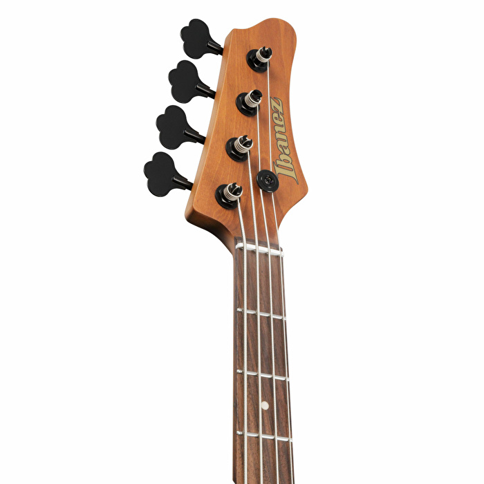 IBANEZ MDM1600-CTL Mode Serisi Bas Gitar
