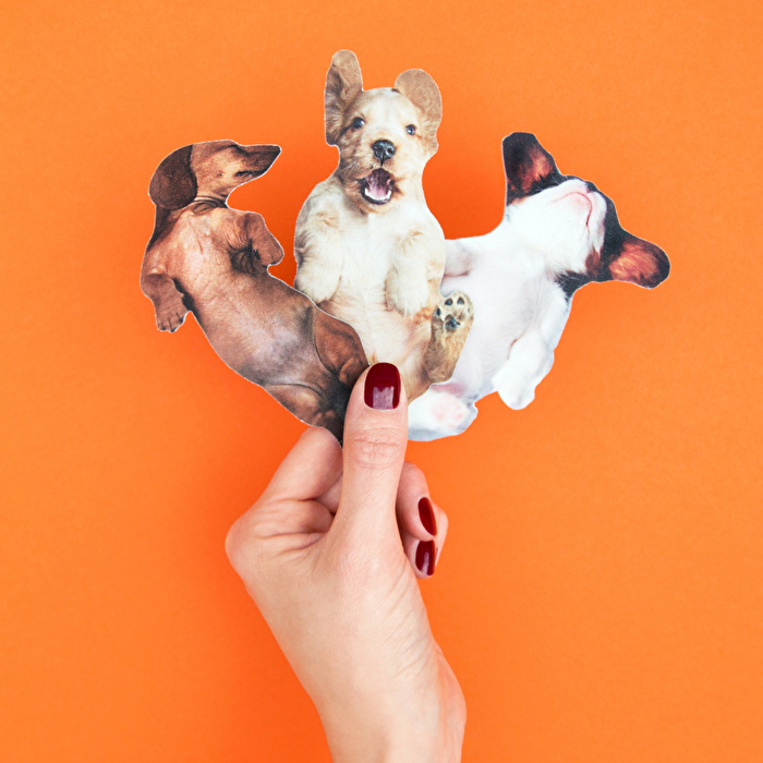 SUCK UK Köpek Törpü