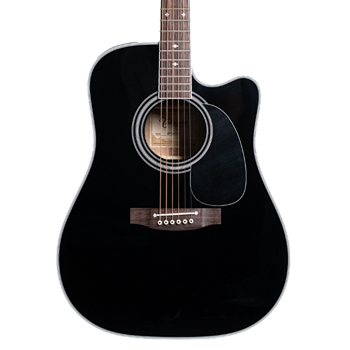 Takamine EF341SC Elektro Akustik Gitar