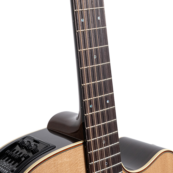 Takamine P5DC Dreadnought Elektro Akustik Gitar