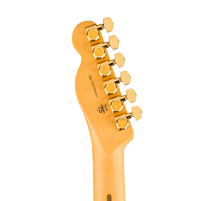 Fender 75th Anniversary American Professional Custom Telecaster Akçaağaç Klavye 2 Ton Sunburst Elektro Gitar