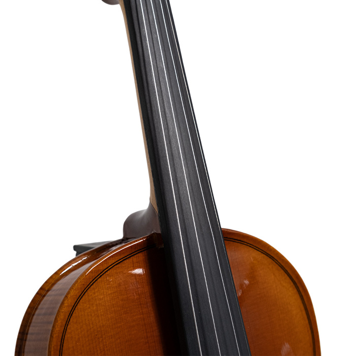 STARSUN V-1C 4/4 Parlak Keman