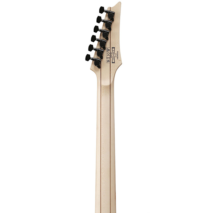 Ibanez RGR6BSP-IPT Elektro Gitar