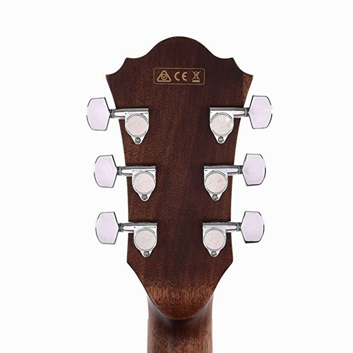 IBANEZ AE255BT-NT Elektro Akustik Gitar