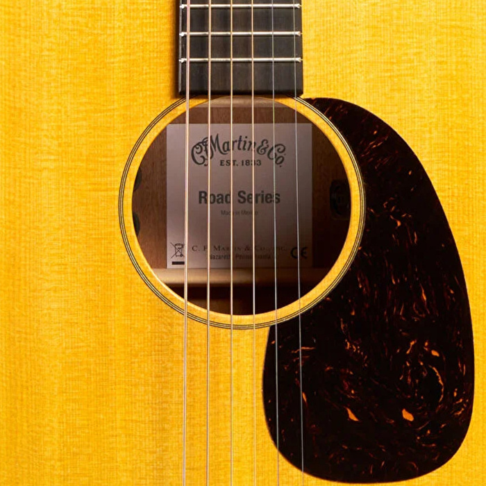 Martin D-10E Elektro Akustik Gitar
