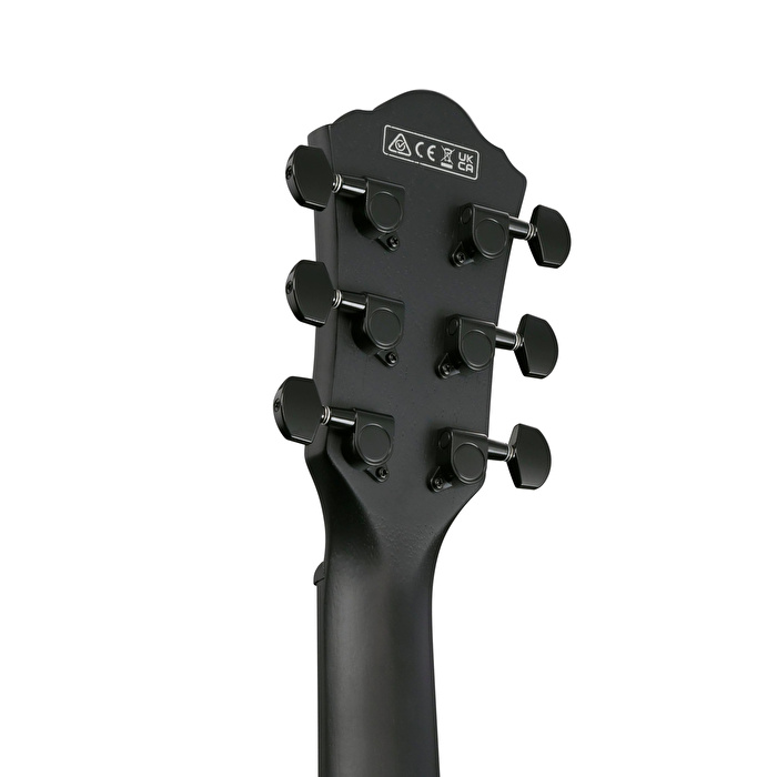 IBANEZ AEWC621-BOT  Elektro Akustik Gitar