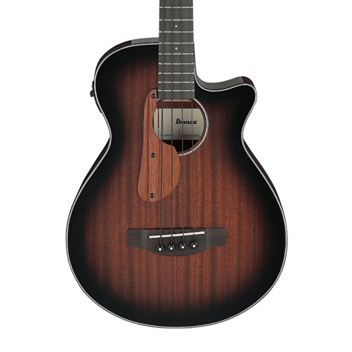 IBANEZ AEGB24E-MHS  Serisi Akustik Bas Gitar