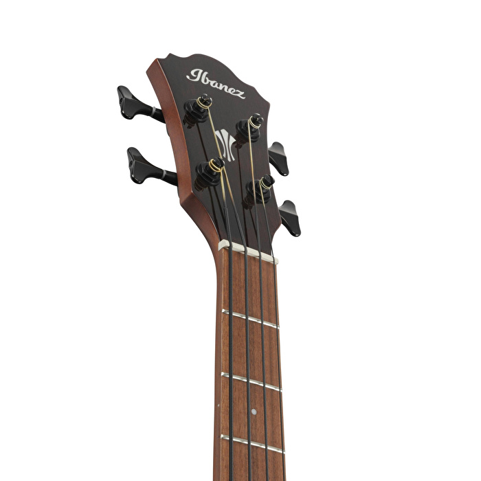 IBANEZ AEGB24E-MHS  Serisi Akustik Bas Gitar