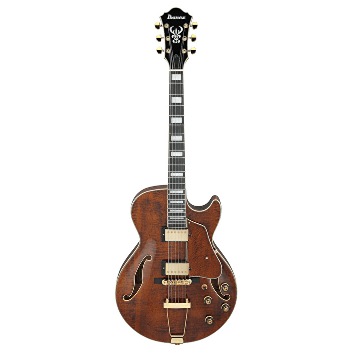 IBANEZ AG95MG-DA Artcore Elektro Gitar