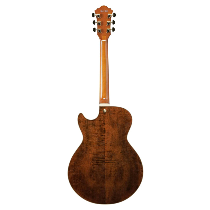 IBANEZ AG95MG-DA Artcore Elektro Gitar