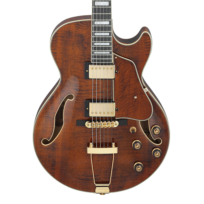 IBANEZ AG95MG-DA Artcore Elektro Gitar