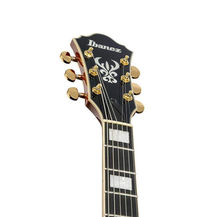IBANEZ AG95MG-DA Artcore Elektro Gitar