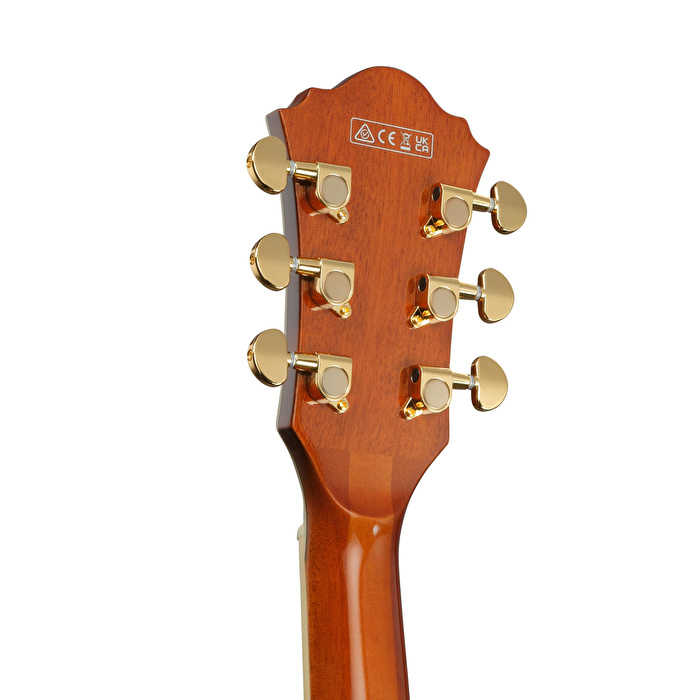 IBANEZ AG95MG-DA Artcore Elektro Gitar