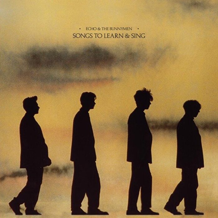 Echo & The Bunnymen - Songs To Learn & Sing (Yellow & Black Marble Vinyl)