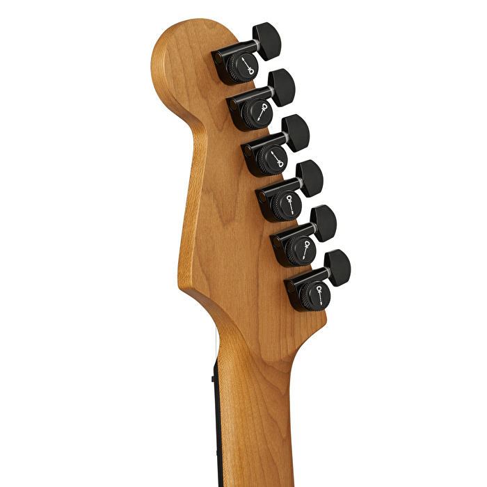 Charvel Pro-Mod Plus Dinky DK24 HH HT Black Ash Elektro Gitar (Gigbag Dahil)