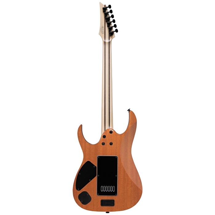 Ibanez RG5121RET-PRT RG Polar Lights Elektro Gitar