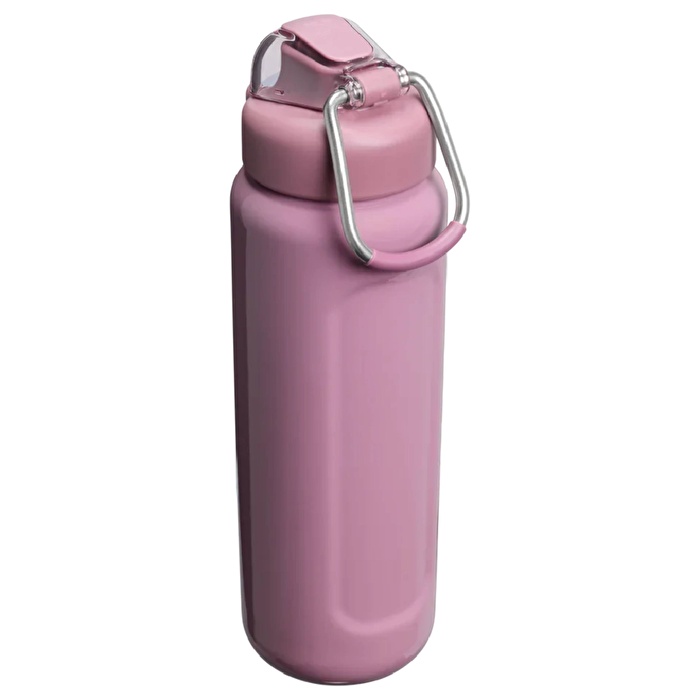 STANLEY The Wellspring Bottle 0.7L / 24oz Purple Smoke Gloss